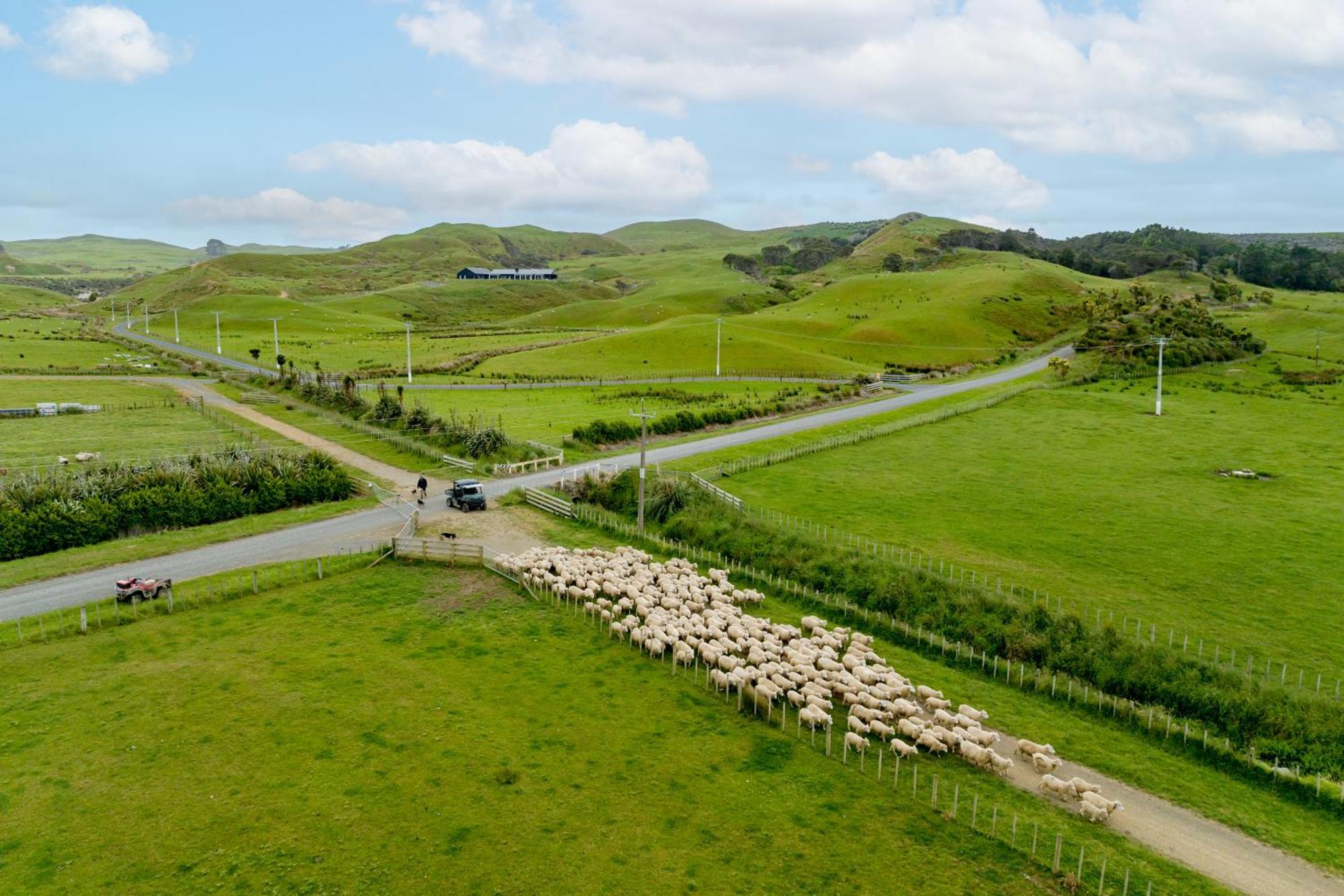 Te Karaka * Port Waikato